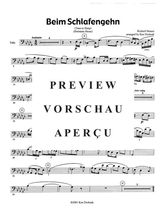 gallery: Two Strauss Songs , , (Tuba + Klavier)