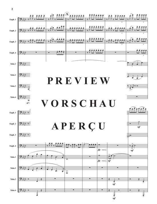 Product gallery: Page 3 of 21 Riding the Storm , , (4x Baritone, 4x Tuba)