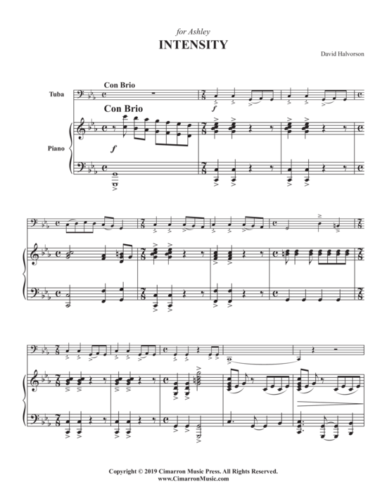 Product picture to: Intensity David Halvorson