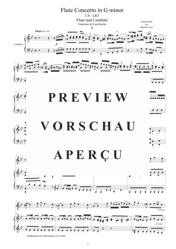 Produktgalerie: Seite 2 von 11 Flute Concerto in G minor, , Flöte und Cembalo