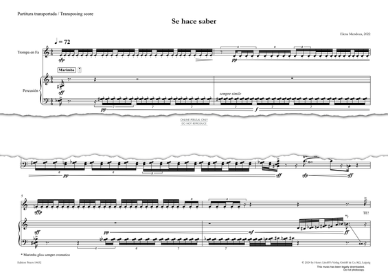 Produktgalerie: Seite 1 von 1 Se Hace Saber, Elena Mendoza, Horn, Percussion