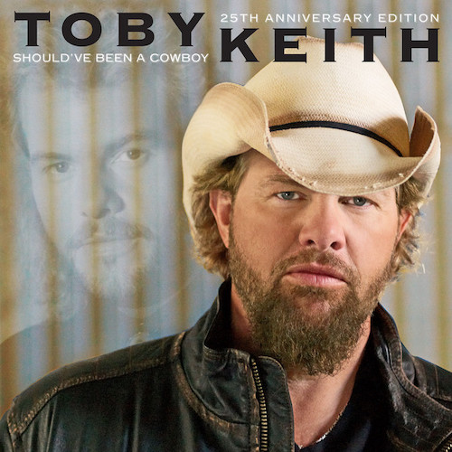 cover: Wish I Didn't Know Now, Toby Keith, Gesang, Gitarre, Klavier