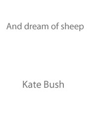 cover: And Dream Of Sheep, Kate Bush, Gesang, Gitarre, Klavier