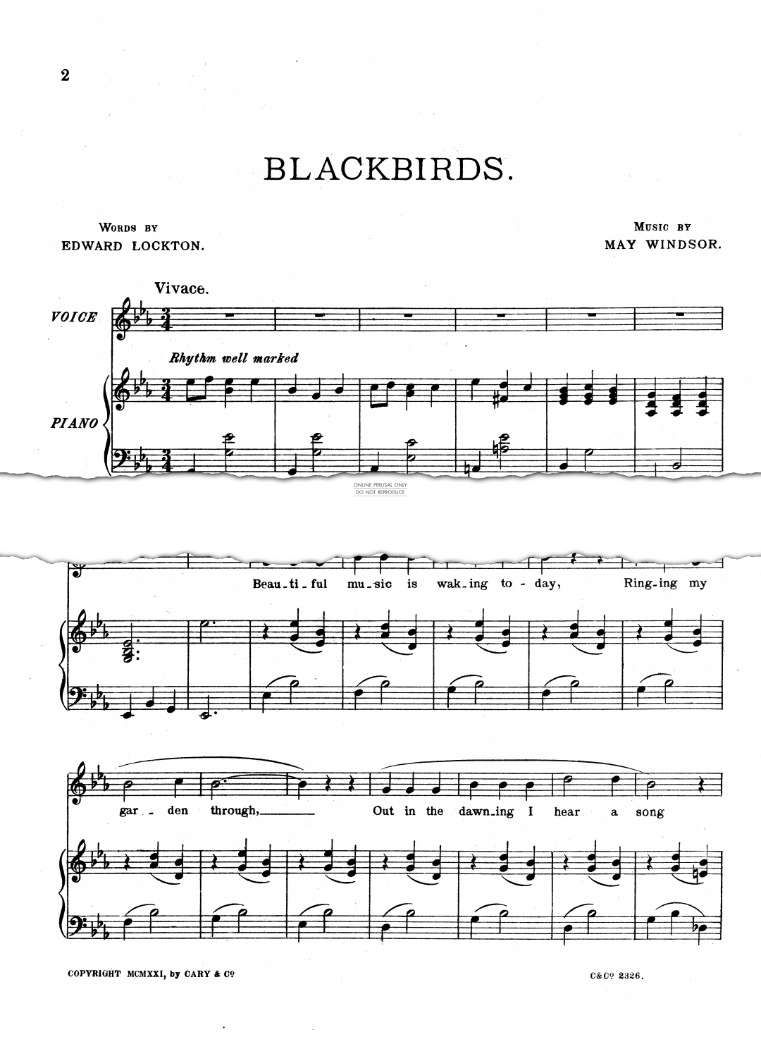 Product picture to: Blackbirds