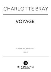 Product picture to: Voyage