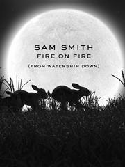 cover: Fire On Fire, Sam Smith