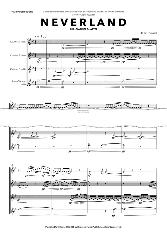 Product gallery: Page 1 of 1 Neverland, Dani Howard