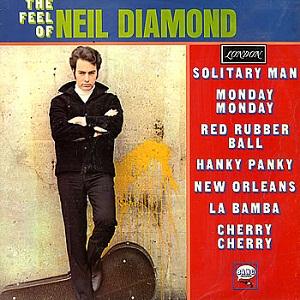 cover: Solitary Man, Neil Diamond, Johnny Cash, Gesang, Gitarre, Klavier