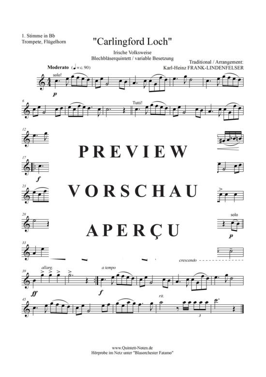 Produktgalerie: Seite 6 von 17 Carlingford Loch , Blasorchester Fatamo, (Blechbläser Quintett - flexible Besetzung)