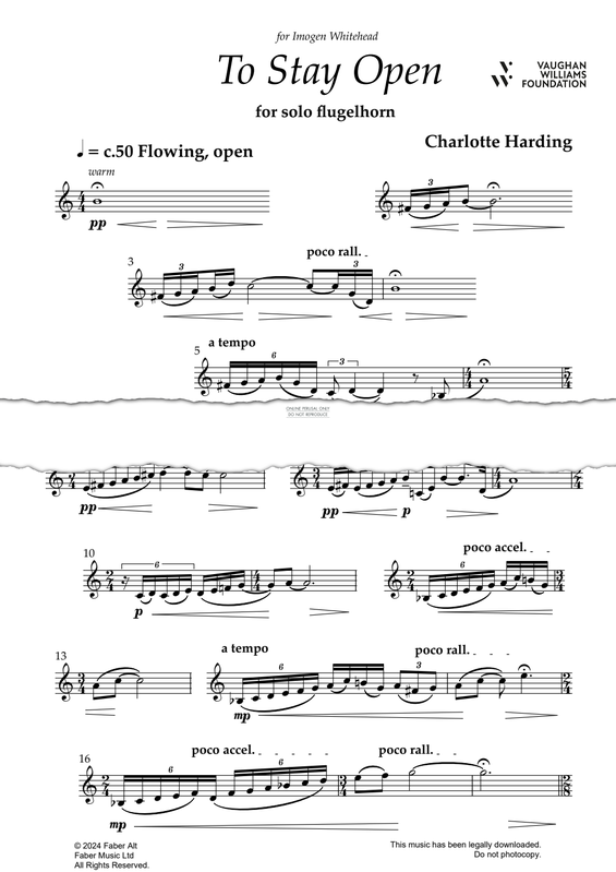 gallery: To Stay Open, Charlotte Harding, Trompete