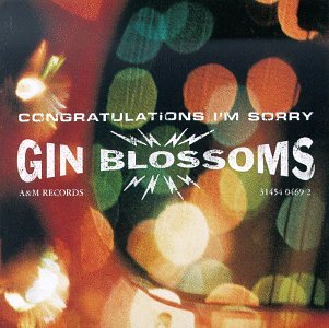 cover: Follow You Down, Gin Blossoms, Gitarre