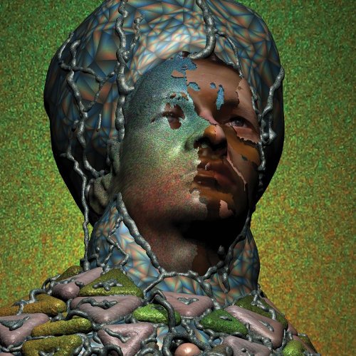 cover: Ambling Alp, Yeasayer