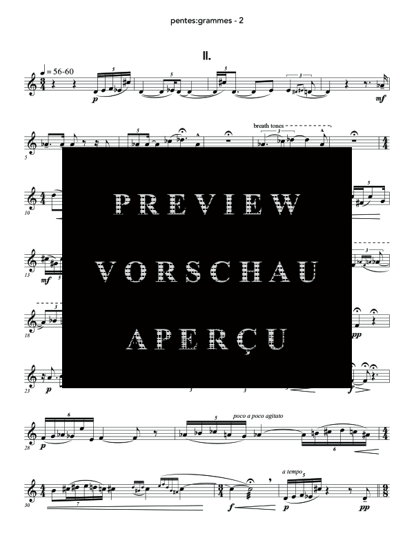 Produktgalerie: Seite 6 von 11 pentes:grammes, , (Piccolo Flöte Solo)