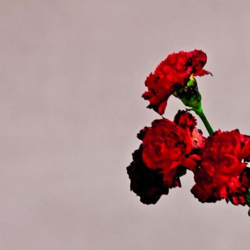 cover: Who Do We Think We Are, John Legend