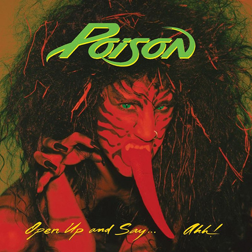 cover: Every Rose Has Its Thorn, Poison, Gitarre