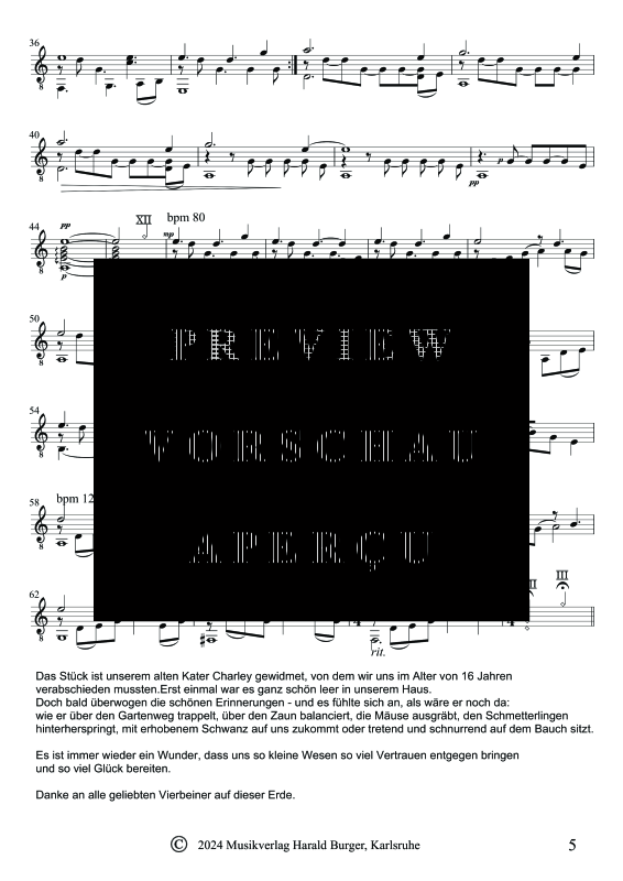 Produktgalerie: Seite 8 von 11 Romantik trifft Fingerstyle, , Gitarre Solo