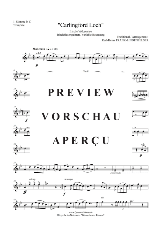 Produktgalerie: Seite 7 von 17 Carlingford Loch , Blasorchester Fatamo, (Blechbläser Quintett - flexible Besetzung)