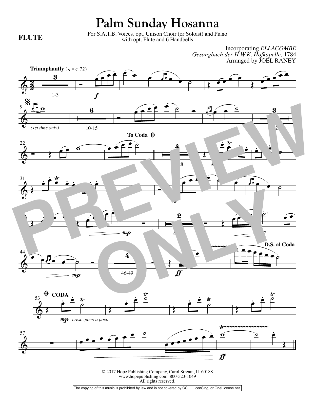 Product picture to: Palm Sunday Hosanna - Flute