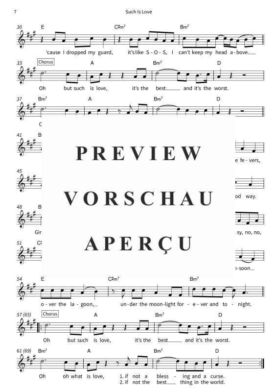 Produktgalerie: Seite 9 von 11 Sunlit Soul - Leadsheets von Patrice, Patrice, Gesang & Akkorde