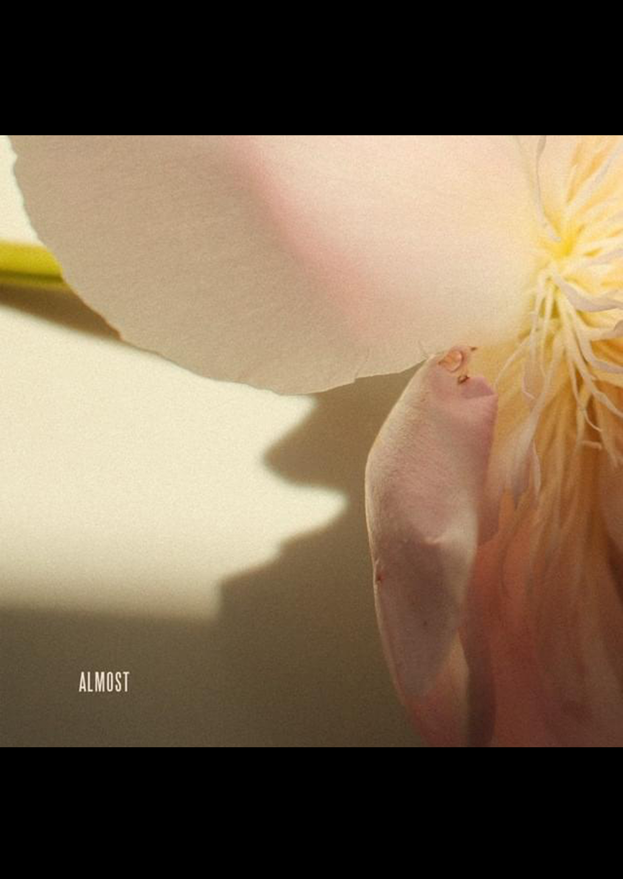Produktbild zu: Almost