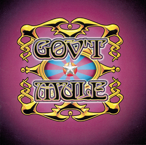 cover: Mule, Gov't Mule, Gitarre