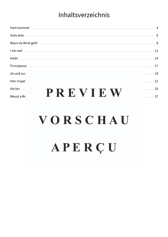 Produktgalerie: Seite 5 von 11 Austropop Schmäh - Leadsheets von Seiler und Speer, Seiler und Speer, Gesang & Akkorde