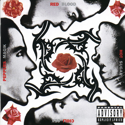 cover: I Could Have Lied, Red Hot Chili Peppers, E-Bass