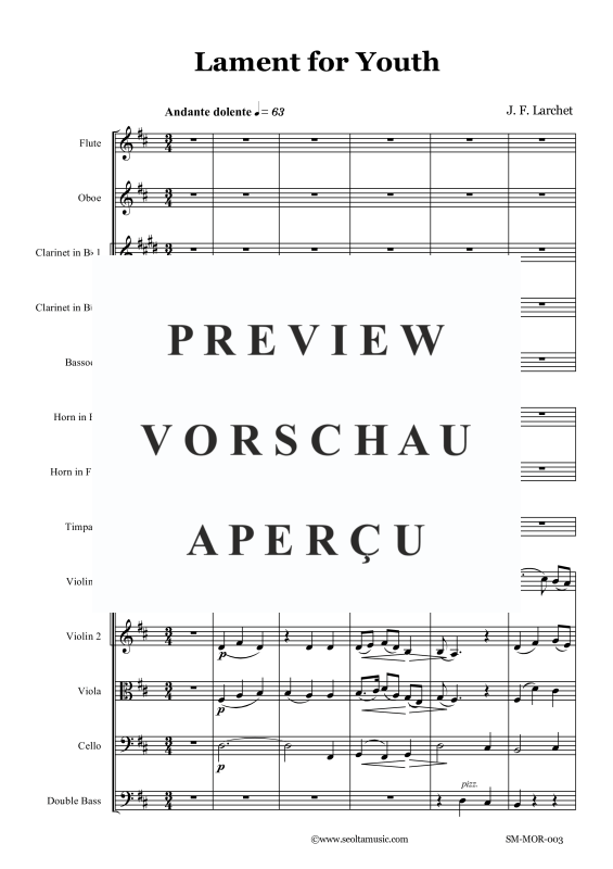 Produktgalerie: Seite 6 von 11 Lament for Youth, , Zwei irische Melodien für Orchester