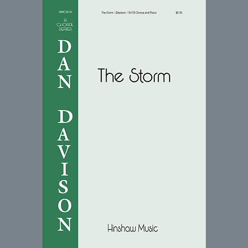 cover: The Storm, Dan Davison