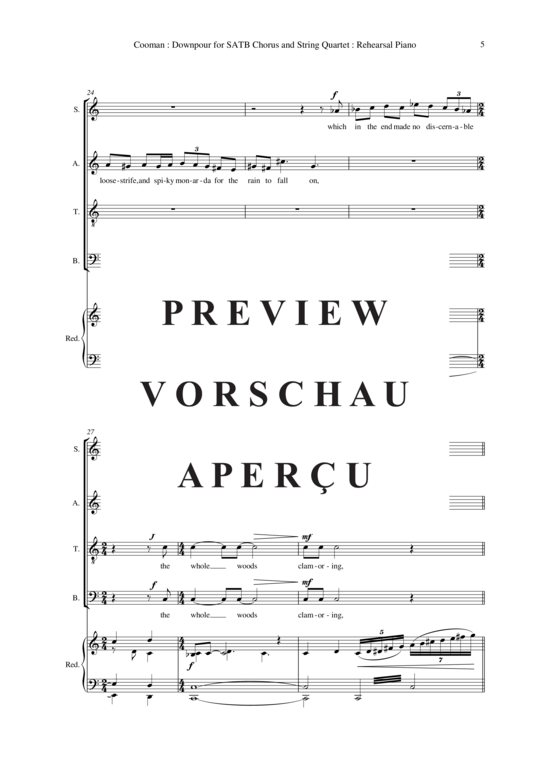 gallery: Downpour , , (Gemischter Chor + Streicher)
