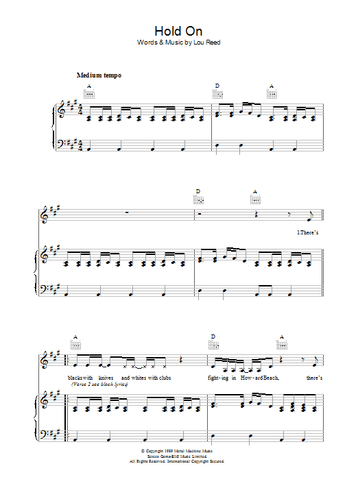 Produktgalerie: Seite 1 von 1 Hold On, Lou Reed, Gesang, Gitarre, Klavier