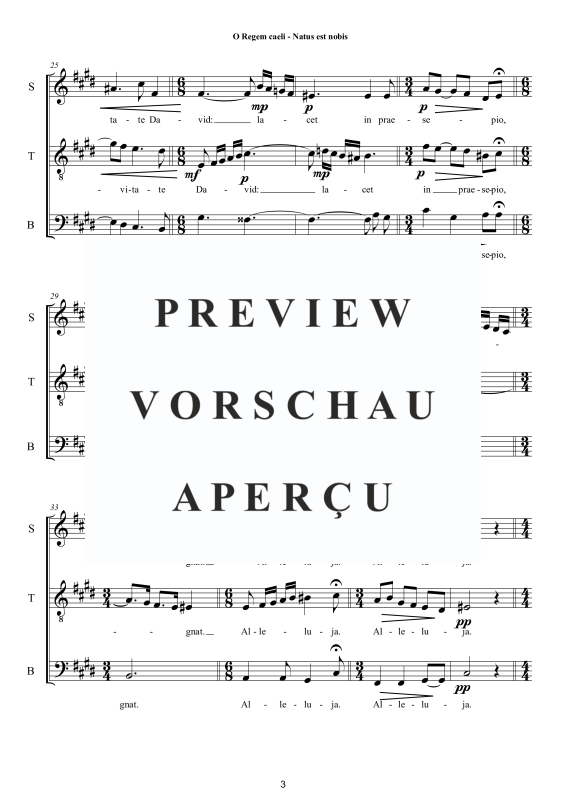 Produktgalerie: Seite 4 von 11 O Regem caeli - Natus est nobis Weihnachtsmotette, , Trio Sopran, Tenor und Bass