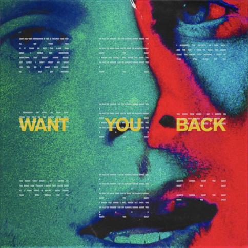 cover: Want You Back, 5 Seconds of Summer, Gesang, Gitarre, Klavier