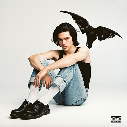 cover: The Cut That Always Bleeds, Conan Gray