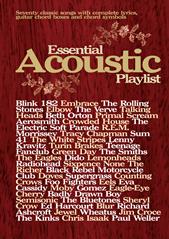 cover: Fly Away, Lenny Kravitz, Gesang, Gitarre