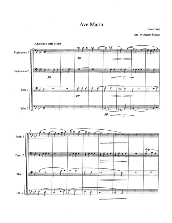 Product picture to: Ave Maria Franz Liszt
