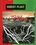 Produktbild zu: 29 Palms (Twenty Nine Palms)