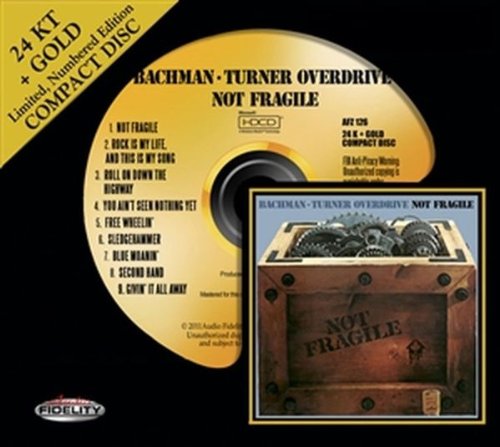 cover: You Ain't Seen Nothing Yet, Bachman-Turner Overdrive, Gitarre