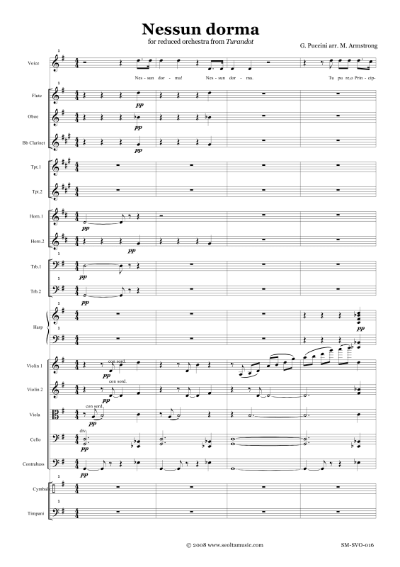 Produktbild zu: Nessun DormaGiacomo Puccini