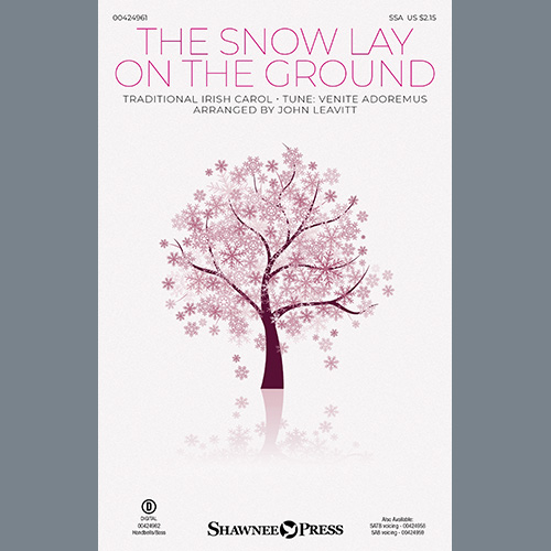 Product picture to: The Snow Lay On The Ground (arr. John Leavitt)