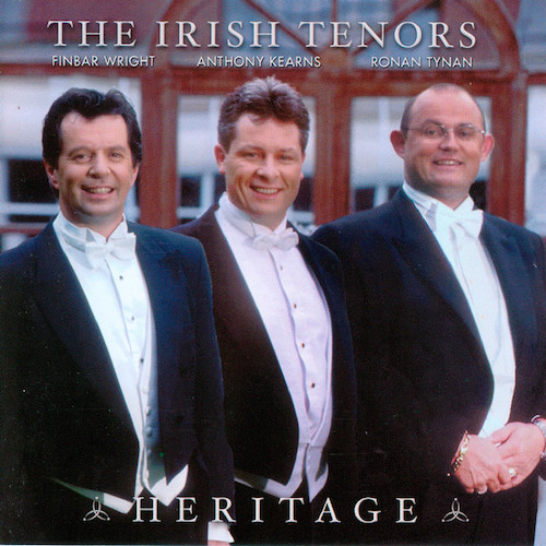 cover: I'll Take You Home Again, Kathleen, Ronan Tynan, Gesang, Gitarre, Klavier