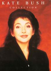 cover: The Man With The Child In His Eyes, Kate Bush, Gesang, Horn, Klavier, Melodieinstrumente, Streichinstrumente
