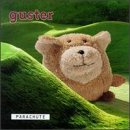 cover: Parachute, Guster, Gitarre