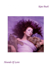 Produktbild zu: And Dream Of Sheep