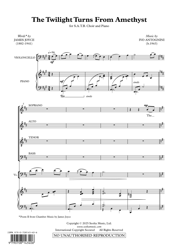 Produktbild zu: The Twilight turns from AmethystIvo Antognini