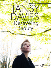 Produktbild zu: Destroying Beauty