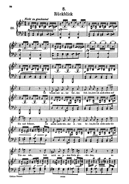 Product picture to: Rückblick D.911-8 (Winterreise)Franz Schubert