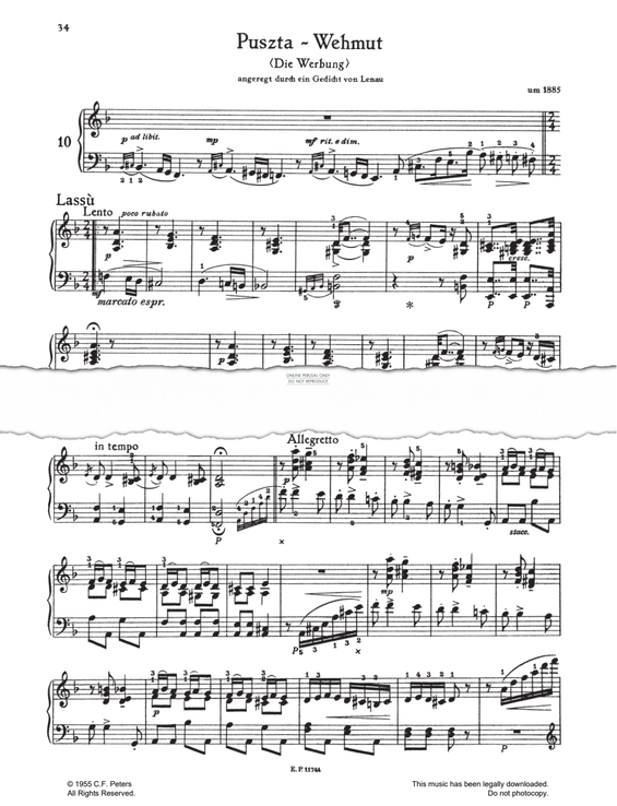 Produktgalerie: Seite 1 von 1 Puszta Wehmut - Die Werbung, Franz Liszt, Klavier