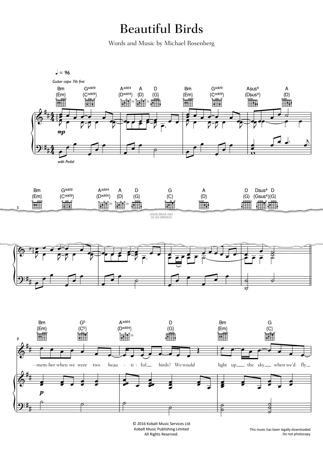 Produktgalerie: Seite 1 von 1 Beautiful Birds, Passenger, Gesang, Gitarre, Klavier