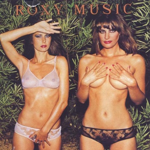 cover: All I Want Is You, Roxy Music, Gesang, Gitarre, Klavier